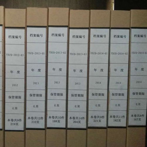 南阳国有企业人事档案整理流程