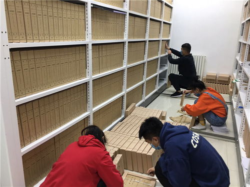 探索豫西文书脉络 河南缮文档案管理服务有限公司专业纪实
