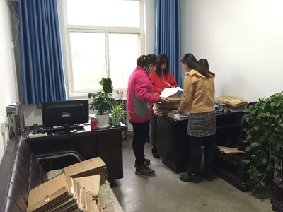 市绿化处11月15日工作简报 档案整理精细化，夯实绿化管理基础